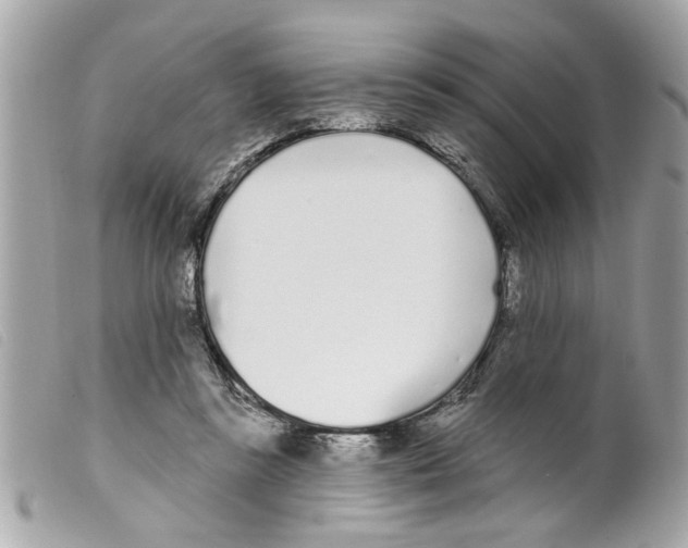 X0000099300355200805301138