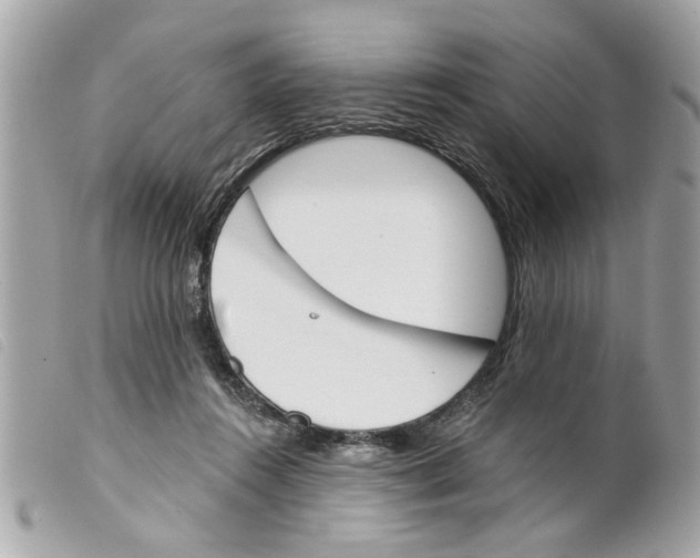 X0000099300360200805301138