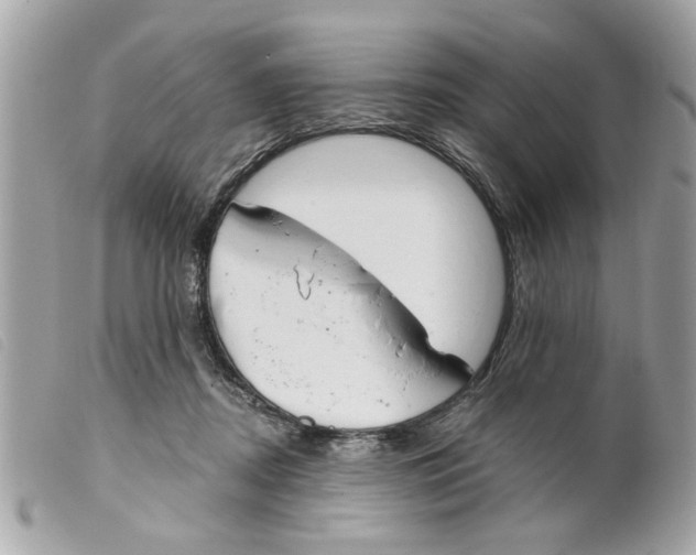 X0000099300362200805301138