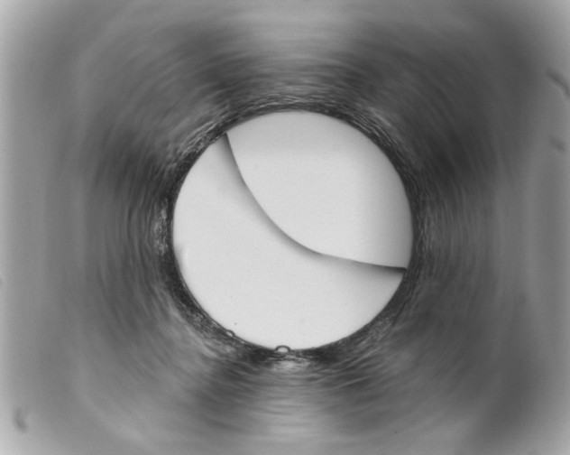 X0000099300364200805301138