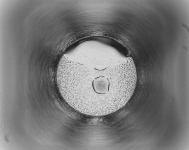 X0000099300366200805301138