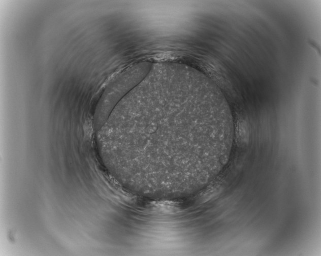 X0000099300367200805301138