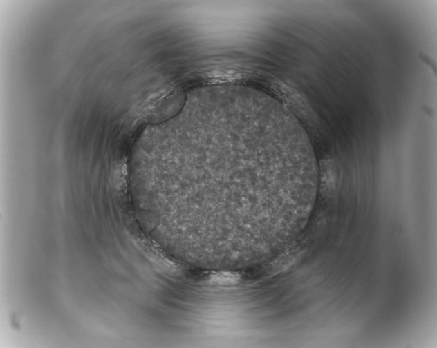 X0000099300369200805301138