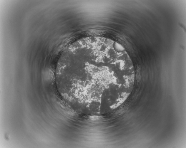 X0000099300371200805301138