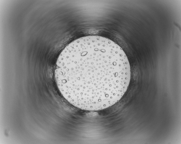 X0000099300374200805301138