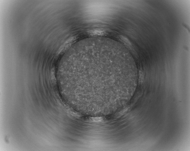 X0000099300377200805301138