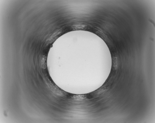 X0000099300378200805301138