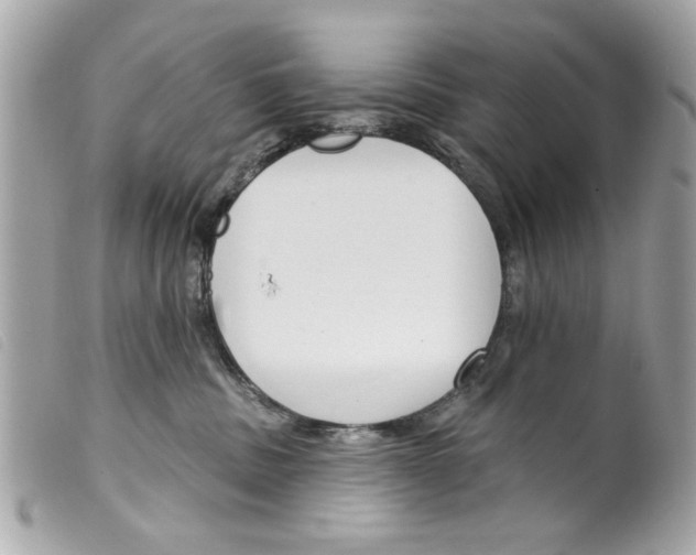 X0000099300379200805301138