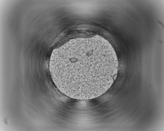 X0000099300382200805301138
