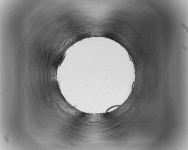 X0000099300384200805301138