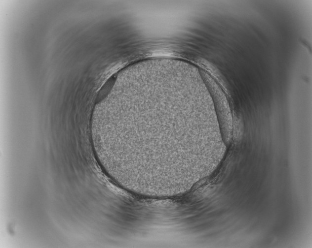 X0000099300385200805301137