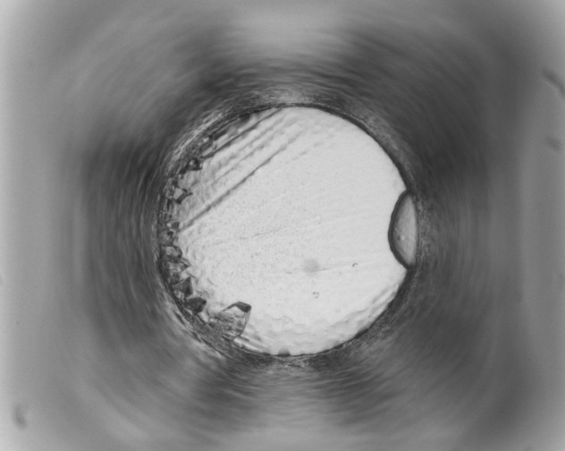 X0000099300386200805301137