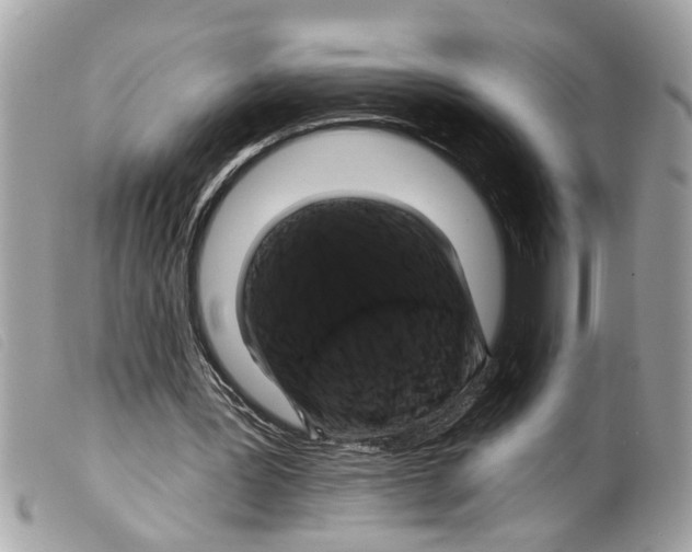 X0000099300387200805301137
