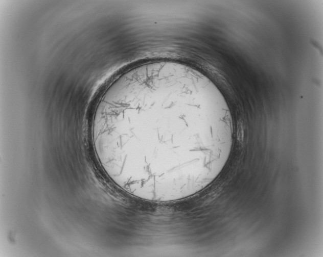 X0000099300388200805301137