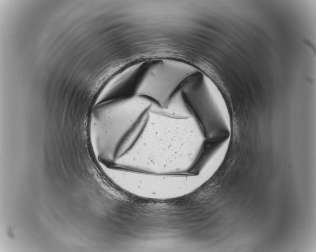 X0000099300389200805301137