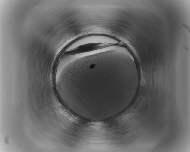 X0000099300391200805301137
