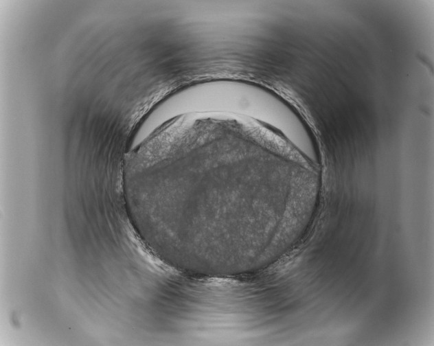 X0000099300393200805301137