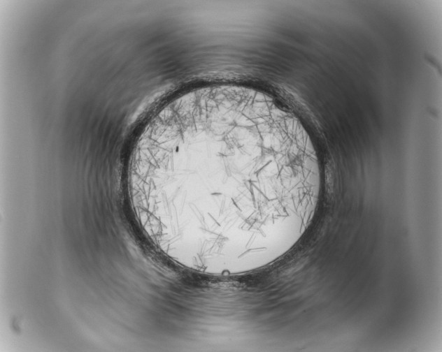 X0000099300396200805301137