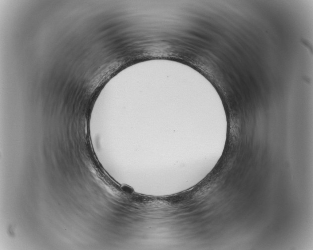 X0000099300397200805301137