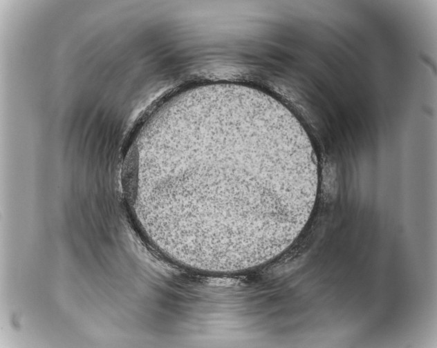 X0000099300399200805301137