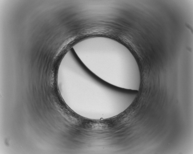 X0000099300400200805301137