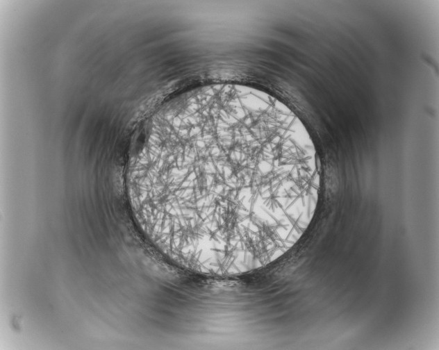 X0000099300401200805301137