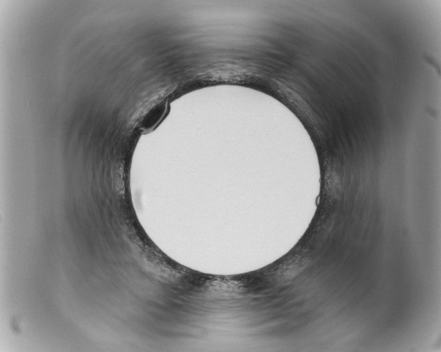 X0000099300403200805301137