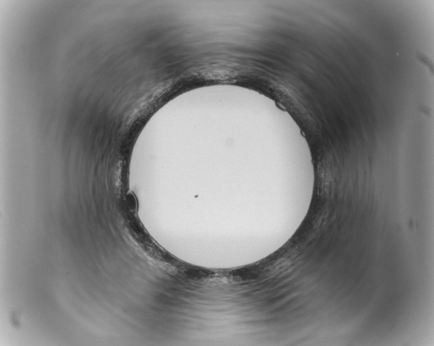 X0000099300404200805301137