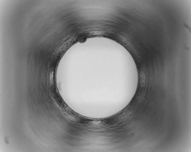X0000099300406200805301137
