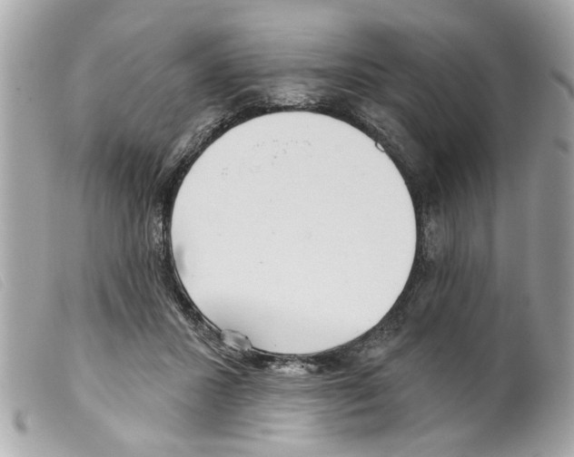 X0000099300407200805301137