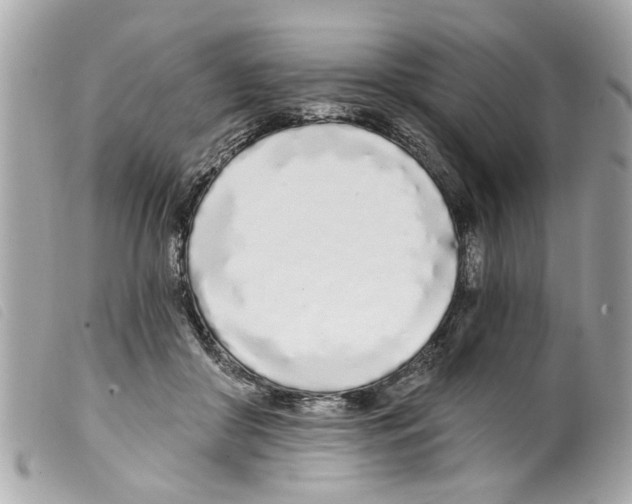 X0000099300410200805301137