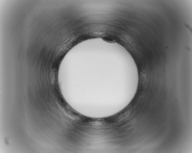 X0000099300412200805301137