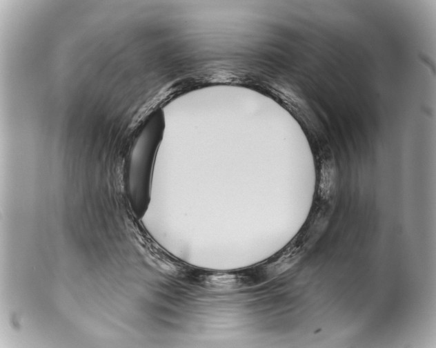 X0000099300413200805301137