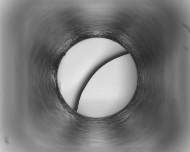 X0000099300415200805301137