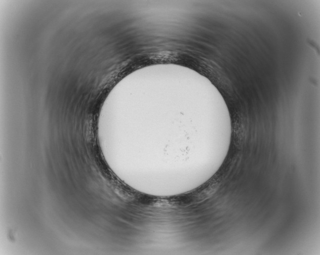 X0000099300416200805301137