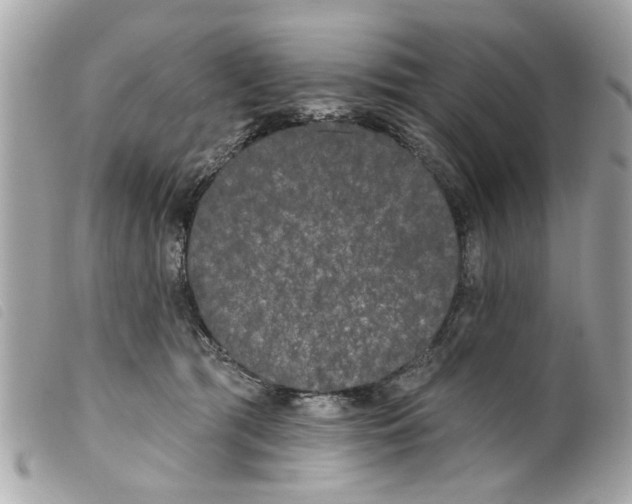 X0000099300417200805301137