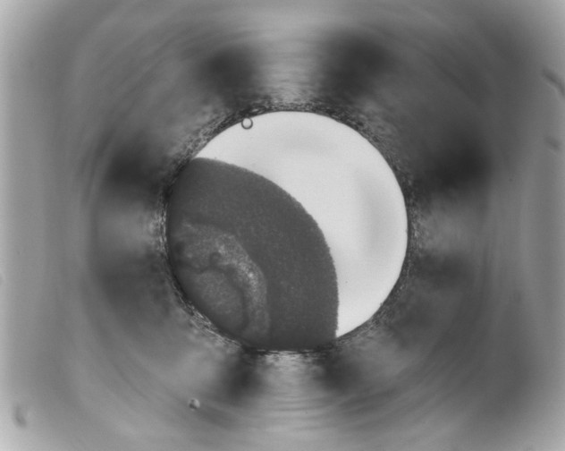 X0000099300419200805301137