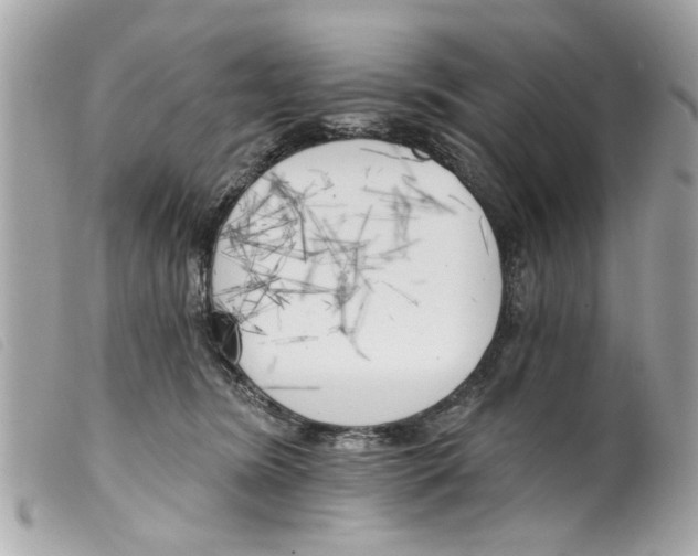 X0000099300420200805301137