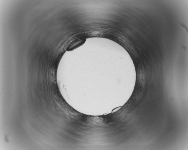 X0000099300421200805301137