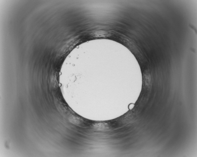 X0000099300422200805301137