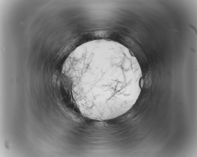 X0000099300424200805301137