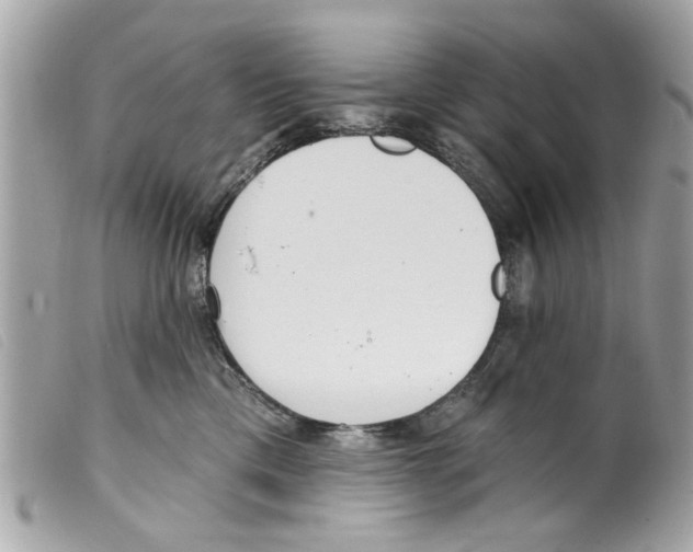 X0000099300425200805301137