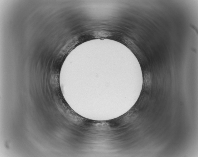 X0000099300426200805301137
