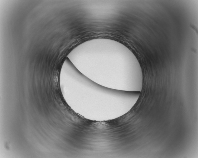 X0000099300427200805301137