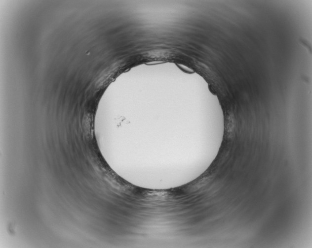 X0000099300428200805301137