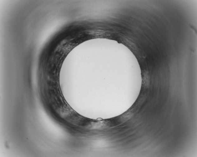 X0000099300430200805301137