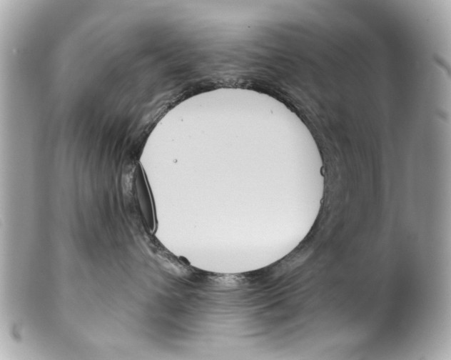 X0000099300432200805301137