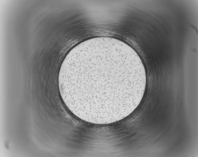 X0000099300433200805301136