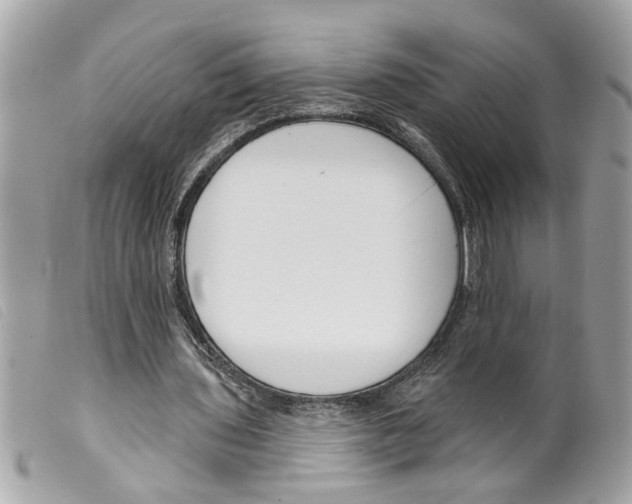 X0000099300435200805301136