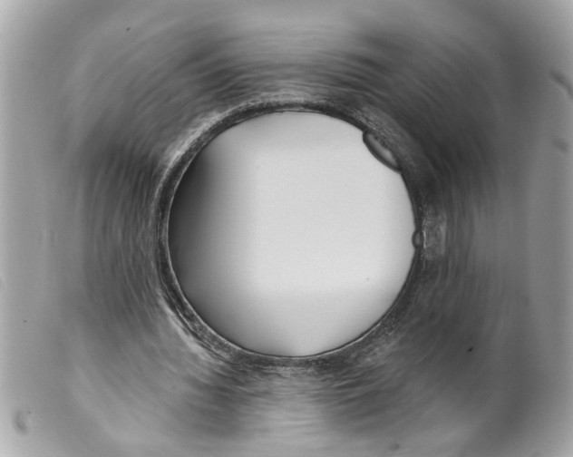 X0000099300436200805301136